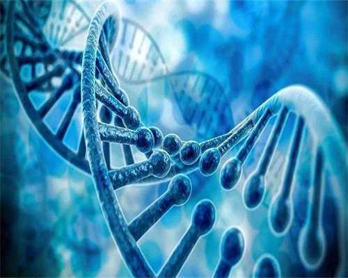 安徽做代孕哪里好能不能吃牛羊肉