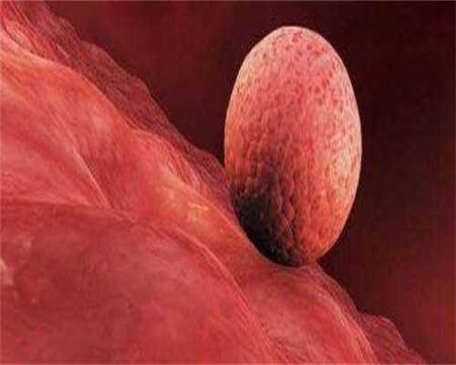 芜湖试管婴儿:专业医院与费用解析