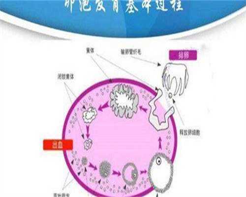安徽供卵的女孩：安徽供卵的女孩多吗