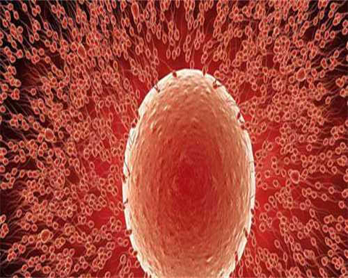 血糖高影响怀孕吗？怎么调理？