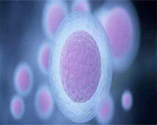 14个月42岁安徽试管代孕成功案例精细动作训练游戏来了，没达到标准请继续