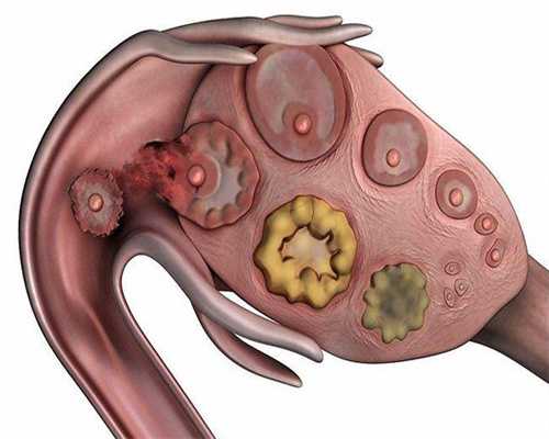 地中海贫血携带者，分享怀孕第7周时筛查安徽捐卵代孕医院是否患地贫的经历