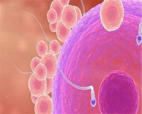 阜阳试管婴儿医院成功率排名阜阳试管婴儿医院大全