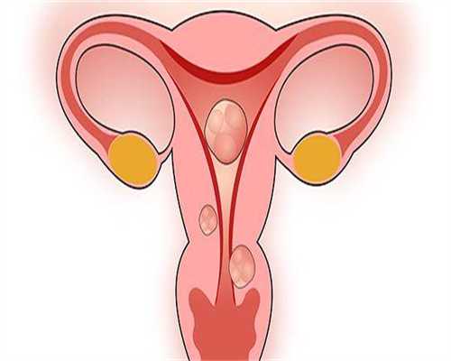 供卵试管联系：安徽三代试管婴儿成功率有多少？