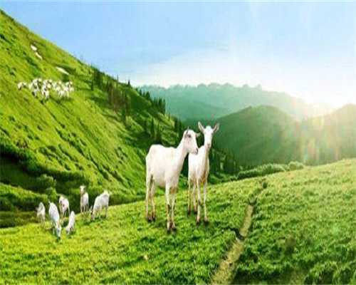 2026芜湖试管婴儿医院排名哪个医院好