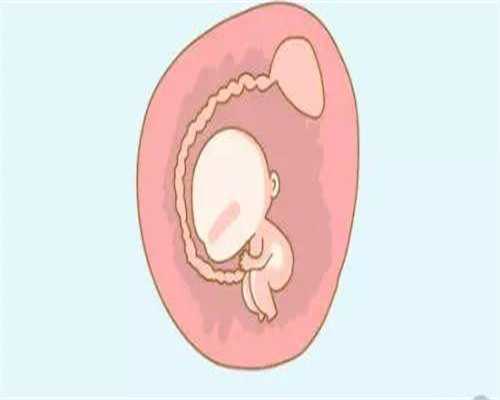 孝感三代试管安徽捐卵供卵公司移植成功率？孝感三代试管胚胎移植成功率多少