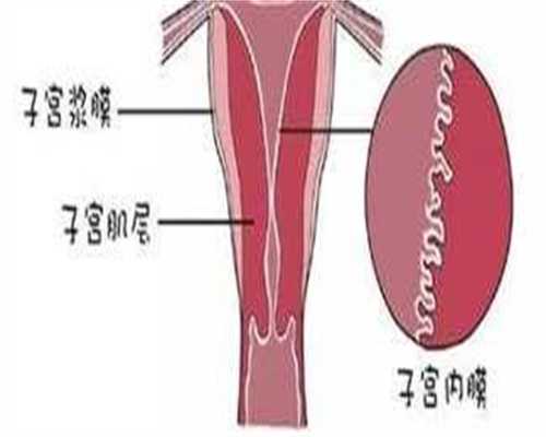 合肥医院有供卵的吗中的法律规定,如何遵守？