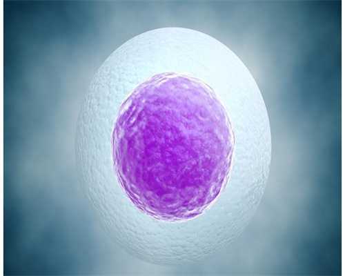 供卵生子医院：养卵泡的最佳方法