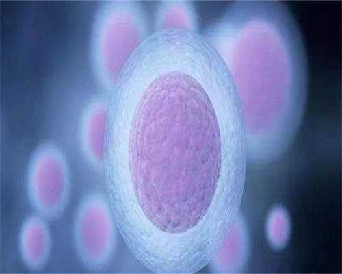 弱精症男性的5个合肥代孕落户口建议