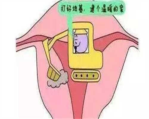 如何提高怀孕成功率安徽捐卵子中心夫妇要注意这几点