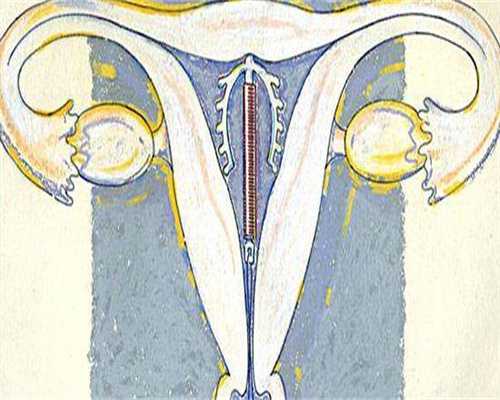 安徽试管婴儿供卵助孕生子医院排名？