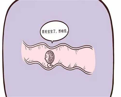 合肥试管供卵多少钱啊,让你拥有美满的人生