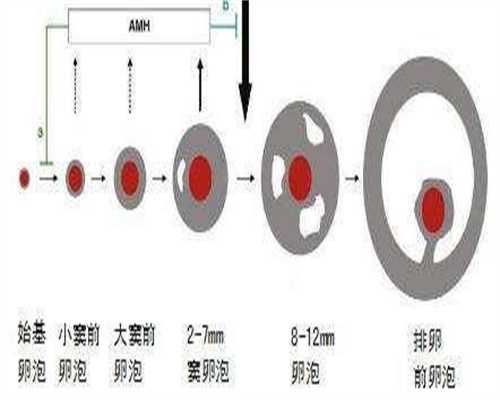 泰国第三代试管婴儿移植后怎样提高合肥试管代孕大概多钱着床率？