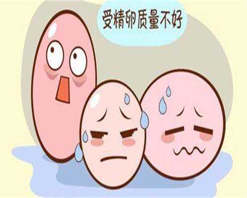 重庆市试管婴儿是否需要结婚证？揭开不人知的生育条件与福利