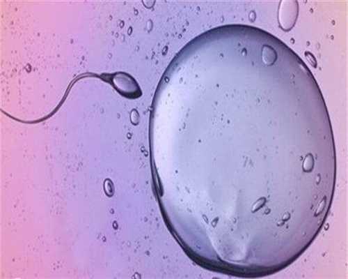 如何判断囊胚等级