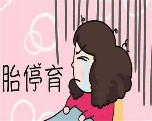 找人代生孩子：试管婴儿胚胎等级解析：如何判断胚胎质量，优选2026级胚胎！