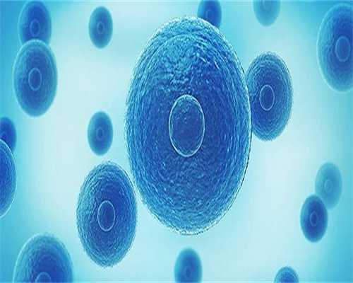 安徽捐卵哪里有，安徽试管婴儿成功率最高的医院有哪些，2026最新名单分享