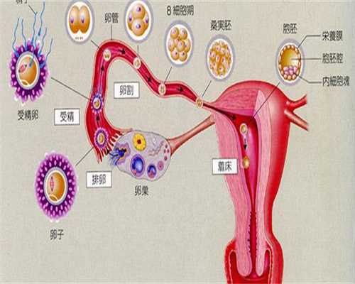 流产后可以吃避孕药吗？流产后不孕不育检查