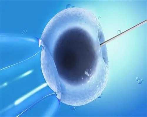 孕妇喝什么茶对安徽代孕能落户口吗好这4种茶安胎又养颜是孕妈首选