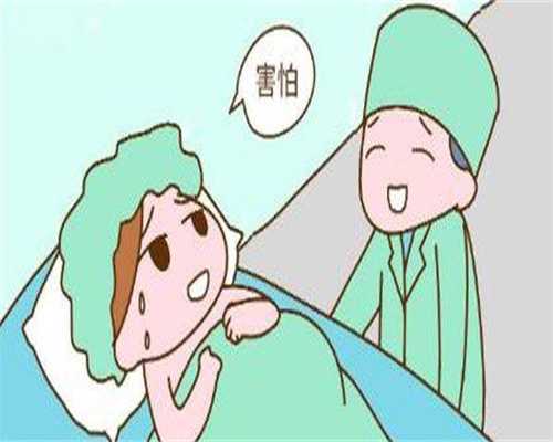 怎么能快速合肥做供卵试管合法吗，掌握科学的备孕方法